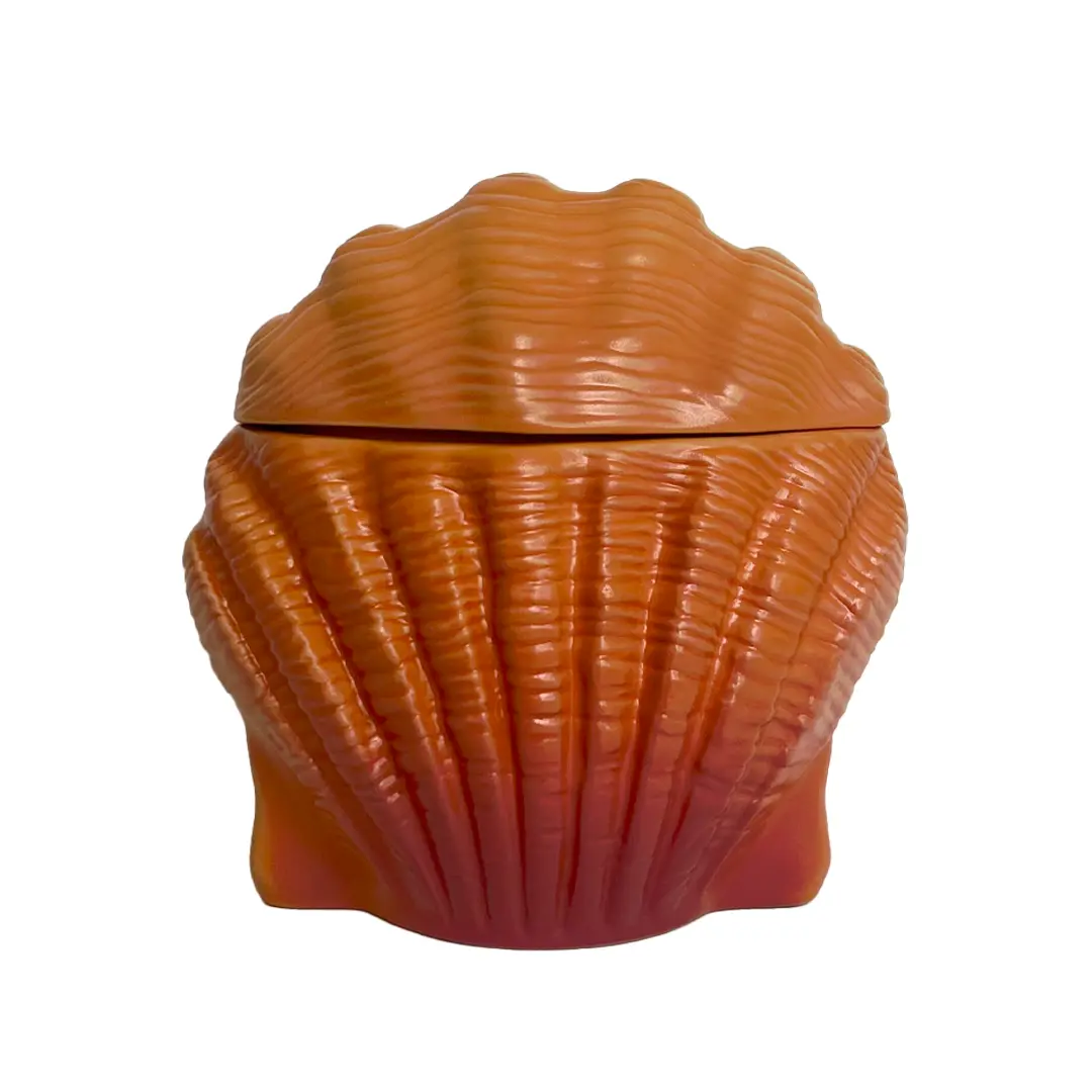 SUNRISE SHELL - Image 2